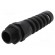 Cable gland | with strain relief,with long thread | M25 | 1,5 | IP68 image 1