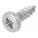 Screw | 5x16 | Head: cheese head | Pozidriv | PZ2 | steel | zinc | SPAX® image 1