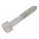 Screw | for wood | 8x50 | Head: hexagonal | none | 13mm | DIN 571 | BN 704 image 1