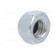 Nut | hexagonal | M8 | steel | Plating: zinc | H: 8mm | Pitch: 0,8 | 13mm image 4