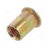 Rivet nuts | M12 | steel | Ømount.hole: 14.8mm | L: 22mm | Head: flat image 1