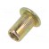 Rivet nuts | M3 | steel | Ømount.hole: 4.9mm | L: 9mm | Head: flat | 20pcs. image 1
