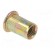 Rivet nuts | M8 | steel | Ømount.hole: 10.8mm | L: 18mm | Head: flat image 9