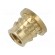 Threaded insert | brass | M3 | BN 37901 | L: 4.1mm | for plastic paveikslėlis 1