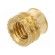Threaded insert | brass | M6 | BN 37885 | L: 7.7mm | for plastic paveikslėlis 2