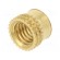 Threaded insert | brass | M8 | BN 37885 | L: 8.3mm | for plastic paveikslėlis 2