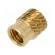 Threaded insert | brass | without coating | M5 | BN: 1054 | L: 8.3mm image 2