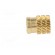 Threaded insert | brass | without coating | M5 | BN: 1054 | L: 8.3mm paveikslėlis 4
