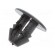 Gasket clip | 25pcs | Alfa Romeo,Fiat,Lancia | L: 10.7mm | polyamide image 2
