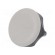 Knob | Ø: 45mm | Ext.thread: M8 | 20mm | technopolymer (PA) | Cap: grey image 1