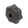Knob | Ø: 50mm | Int.thread: M10 | cast iron | DIN 6336 image 1