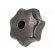 Knob | Ø: 63mm | Int.thread: M12 | cast iron | DIN 6336 image 1