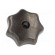 Knob | Ø: 63mm | Int.thread: M12 | cast iron | DIN 6336 фото 9