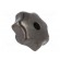 Knob | Ø: 63mm | Int.thread: M12 | cast iron | DIN 6336 фото 8