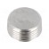Hexagon head screw plug | without micro encapsulation | DIN 906 фото 1