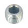 Hexagon head screw plug | without micro encapsulation | DIN: 906 paveikslėlis 2