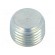 Hexagon head screw plug | without micro encapsulation | DIN: 906 paveikslėlis 1