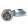 Lock | zinc and aluminium alloy | 21mm | nickel paveikslėlis 9