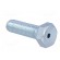 Pin | M12 | Plunger mat: steel | Plating: zinc | Thread len: 40mm paveikslėlis 8