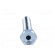 Pin | M8 | Plunger mat: steel | Plating: zinc | Thread len: 40mm paveikslėlis 9