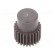 Spur gear | whell width: 16mm | Ø: 13.5mm | Number of teeth: 25 | ZCL image 1