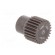Spur gear | whell width: 16mm | Ø: 13.5mm | Number of teeth: 25 | ZCL image 4
