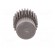 Spur gear | whell width: 16mm | Ø: 13.5mm | Number of teeth: 25 | ZCL image 9
