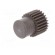 Spur gear | whell width: 16mm | Ø: 13.5mm | Number of teeth: 25 | ZCL image 2