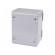 Enclosure: wall mounting | X: 200mm | Y: 250mm | Z: 160mm | orion+ | steel image 2