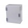 Enclosure: wall mounting | X: 250mm | Y: 300mm | Z: 160mm | orion+ | steel image 1
