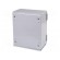 Enclosure: wall mounting | X: 250mm | Y: 300mm | Z: 160mm | orion+ | steel image 2