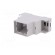 Enclosure: for DIN rail mounting | Y: 90mm | X: 36.2mm | Z: 68mm | PPO image 3