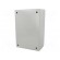Enclosure: wall mounting | X: 200mm | Y: 300mm | Z: 150mm | Spacial S3D фото 2