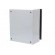 Enclosure: wall mounting | X: 250mm | Y: 300mm | Z: 150mm | Spacial S3D image 7