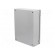 Enclosure: wall mounting | X: 300mm | Y: 400mm | Z: 120mm | E-BOX KX image 3