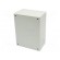 Enclosure: wall mounting | X: 300mm | Y: 400mm | Z: 200mm | Spacial S3D paveikslėlis 2