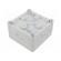 Enclosure: junction box | X: 110mm | Y: 110mm | Z: 65mm | wall mount | ABS image 2