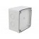 Enclosure: junction box | X: 110mm | Y: 110mm | Z: 65mm | wall mount | ABS image 7