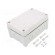 Enclosure: junction box | X: 122mm | Y: 187mm | Z: 90mm | wall mount | ABS image 1