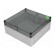 Enclosure: junction box | X: 300mm | Y: 300mm | Z: 132mm | polycarbonate paveikslėlis 1