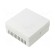 Sensor: temperature | Pt100 | 85x85x37mm | for wall mounting | IP20 image 3