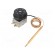 Sensor: thermostat with capillary | Output conf: SPDT | 10A | 400VAC фото 2