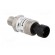 Converter: pressure | Range of val.cntrl: 100 psi | 4.75÷5.25VDC image 4