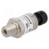 Converter: pressure | Range of val.cntrl: 100 psi | 4.75÷5.25VDC image 1