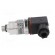 Converter: pressure | Range of val.cntrl: 160 bar | 9÷32VDC | 0.5% image 3