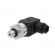 Converter: pressure | Pressure setting range: 0÷16bar | 0.5% | IP67 image 2