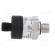 Converter: pressure | Pressure setting range: 0÷2.5bar | 8÷30VDC image 7
