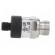 Converter: pressure | Pressure setting range: 0÷6bar | 8÷30VDC фото 7
