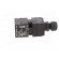Safety switch: key operated | AZ 17 | NC x2 | IP67 | plastic | black image 3