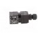 Safety switch: key operated | Series: AZ 17 | Contacts: NC x2 | IP67 image 3